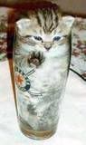 thCat.jpg image by lilcale
